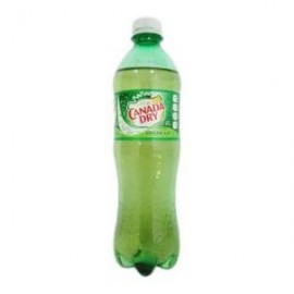 Peñafiel Caja Refresco Canada Dry Ginger Ale 600M/12P-DespensayMas-Peñafiel