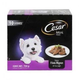 Mars Alimento para Perro Cesar Sabor Filete Mignion 10P/75G - ZK-DespensayMas-Mars