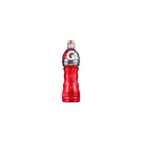 Pepsico Caja bebida Gatorade ponche de frutas 1L/6P-DespensayMas-Pepsico