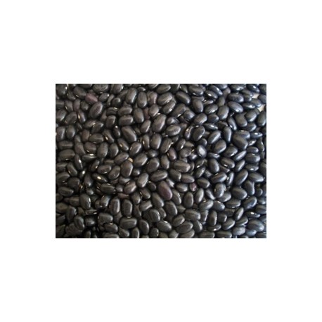 Abeto Paquete Frijol Negro de 1kg con 5 bolsas - Joya-DespensayMas-Abeto