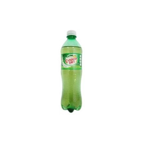 Peñafiel Caja Refresco Canada Dry Ginger Ale 600M/12P-DespensayMas-Peñafiel